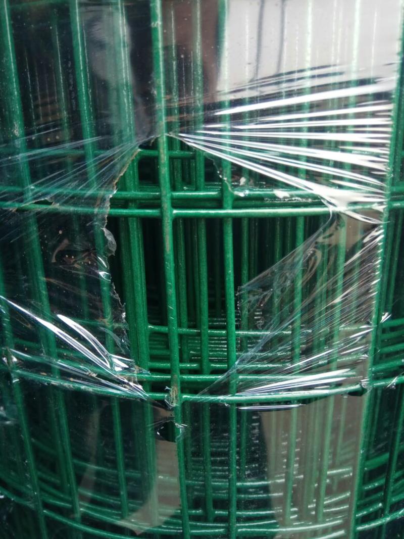 养殖网护栏网围栏网荷兰网孔6*6硬塑