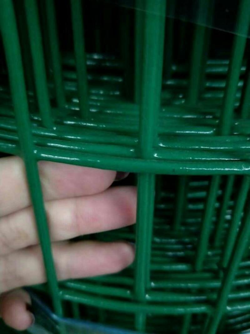 养殖网护栏网围栏网荷兰网孔6*6硬塑