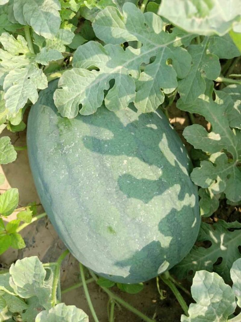 8-15