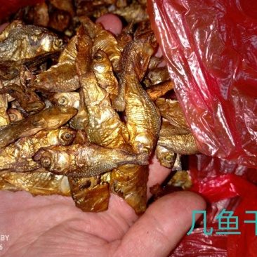 鲫鱼干