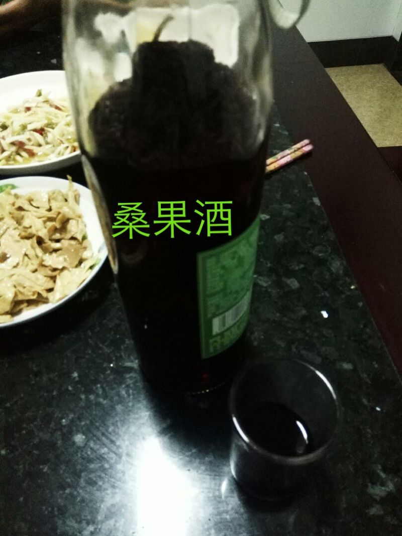 桑树苗黑珍珠果桑苗南北方都可种植口感甜