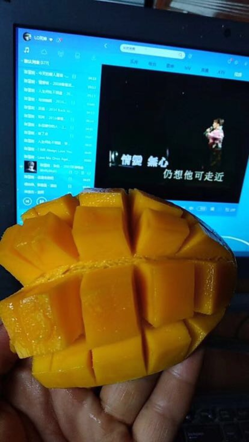 台农芒2两以上