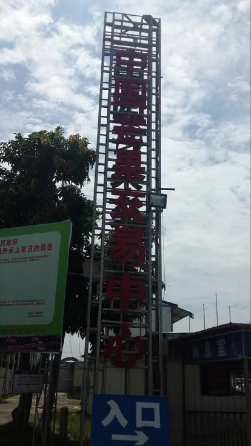台农芒2两以上