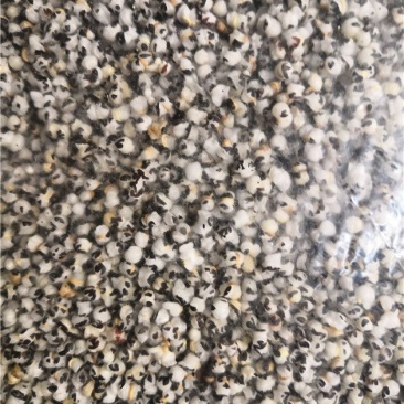 王不留行