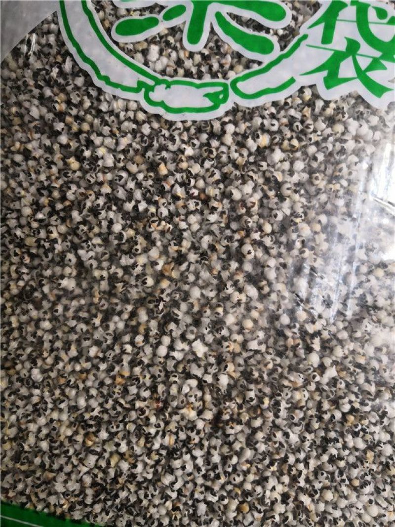 王不留行