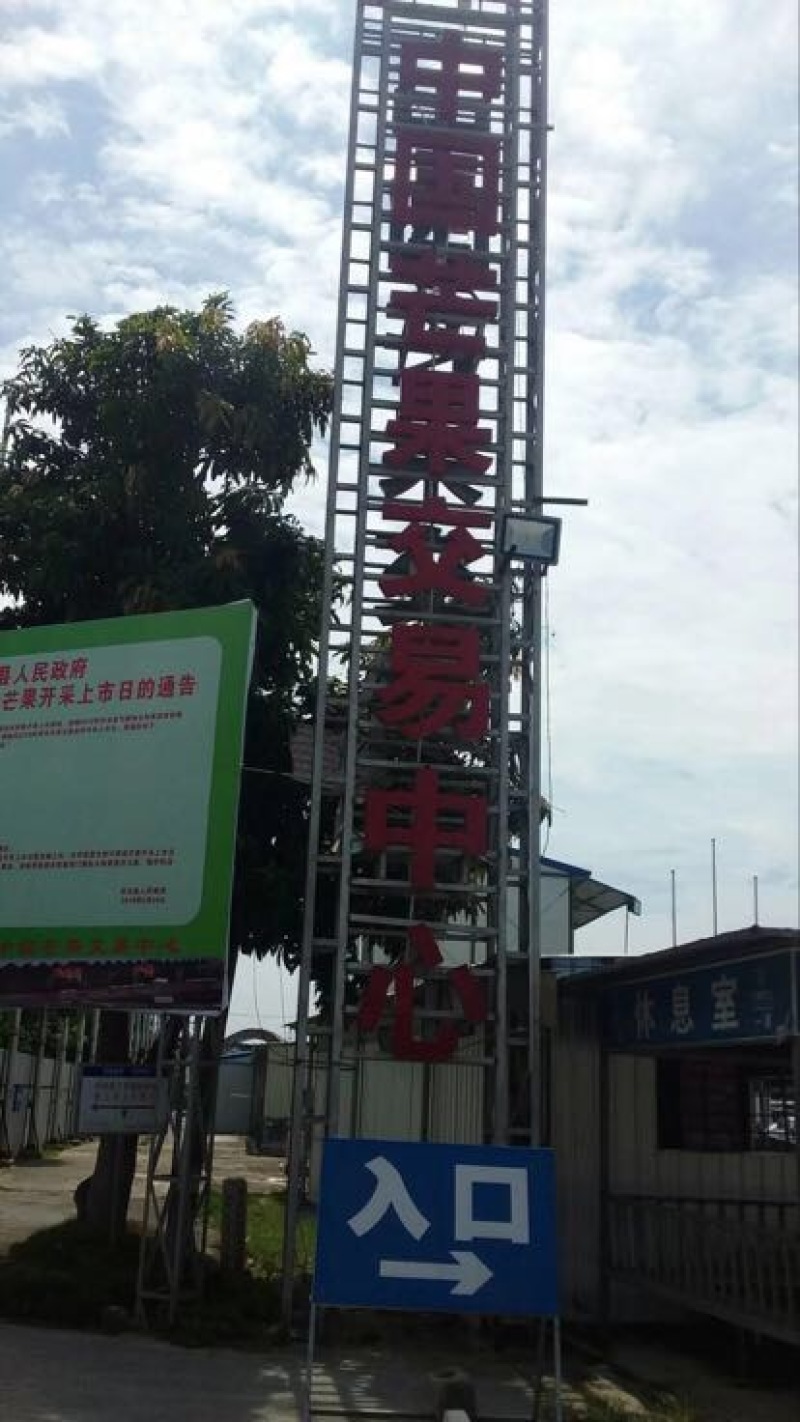 小台芒2两以上
