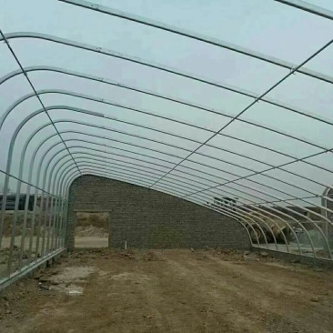 蔬菜大棚养殖大棚，椭圆管养殖大棚，连体大棚！养殖大棚包邮