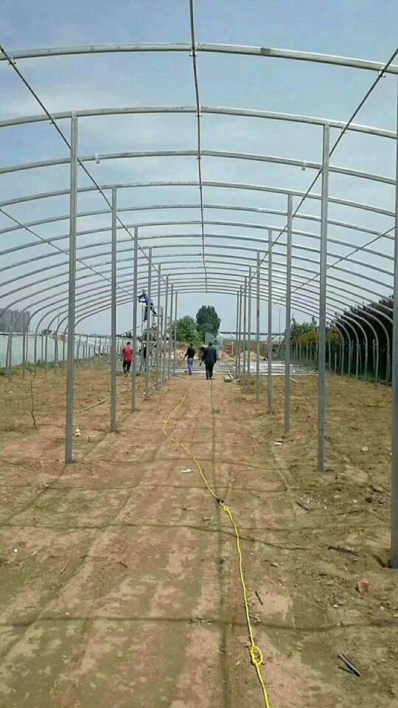 蔬菜大棚养殖大棚，椭圆管养殖大棚，连体大棚！养殖大棚包邮