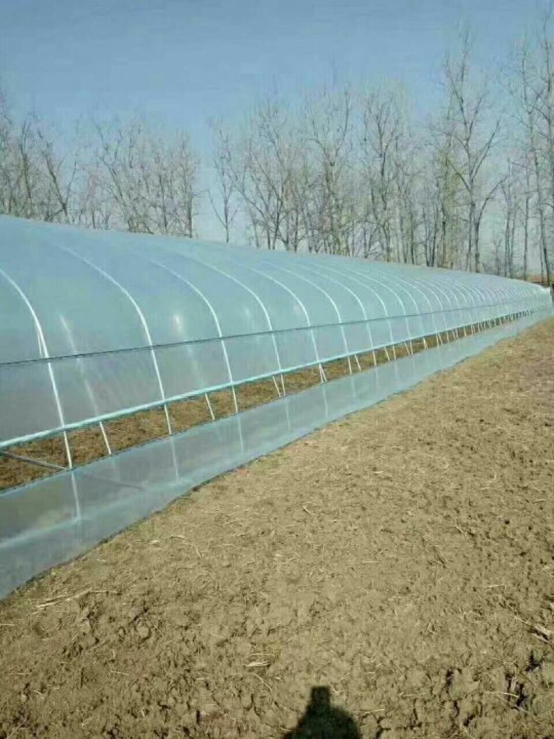 蔬菜大棚养殖大棚，椭圆管养殖大棚，连体大棚！养殖大棚包邮