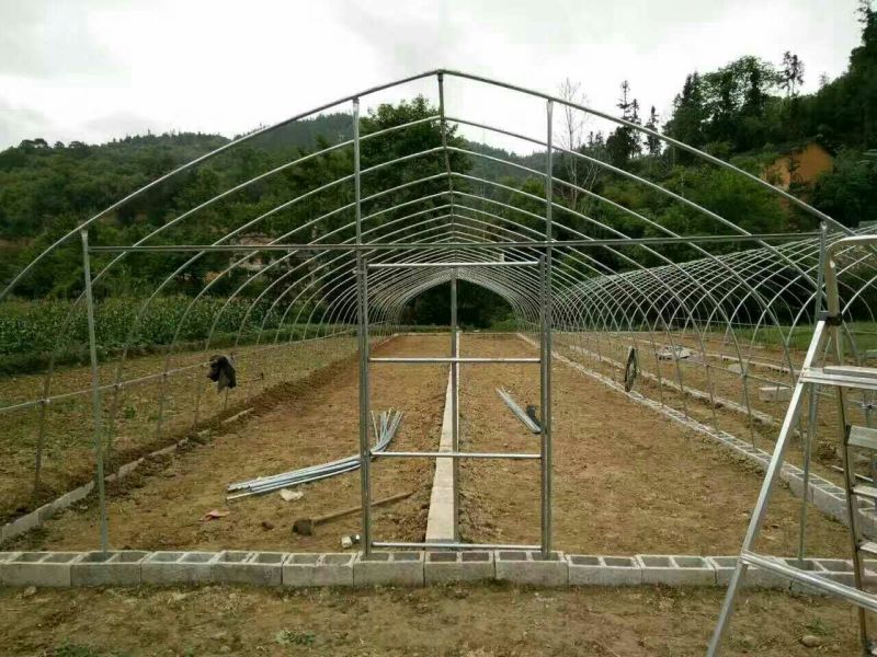 蔬菜大棚养殖大棚，椭圆管养殖大棚，连体大棚！养殖大棚包邮