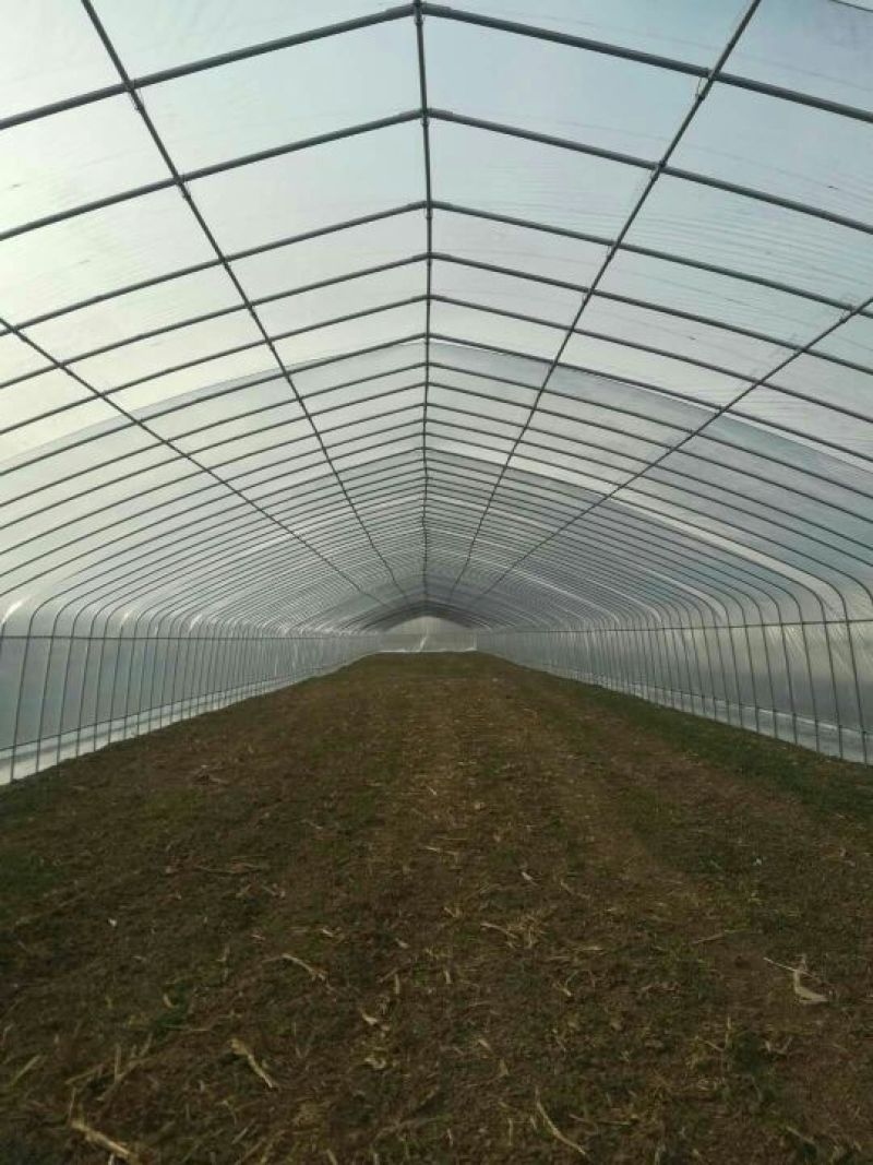 蔬菜大棚养殖大棚，椭圆管养殖大棚，连体大棚！养殖大棚包邮