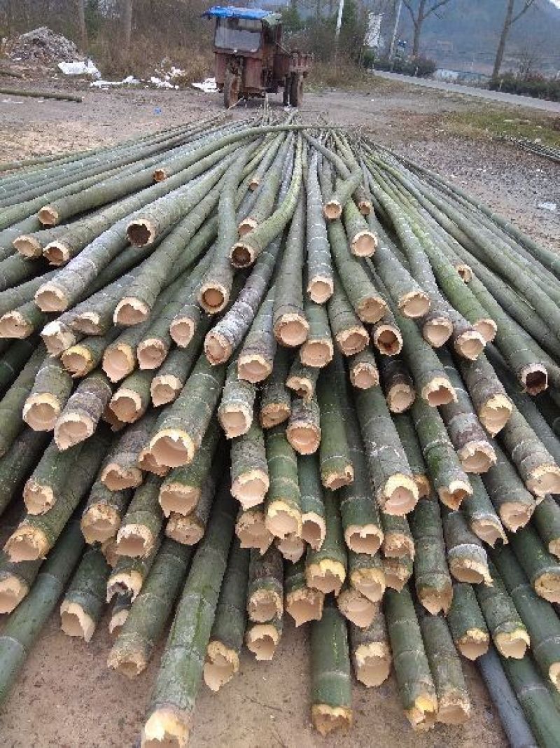 竹竿竹器竹跳板