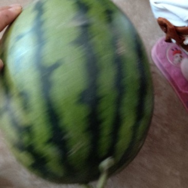 甜王京欣