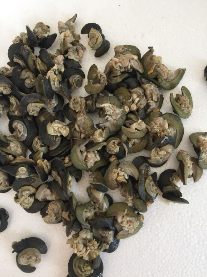 天然绿色褐云玛瑙黑蜗牛肉