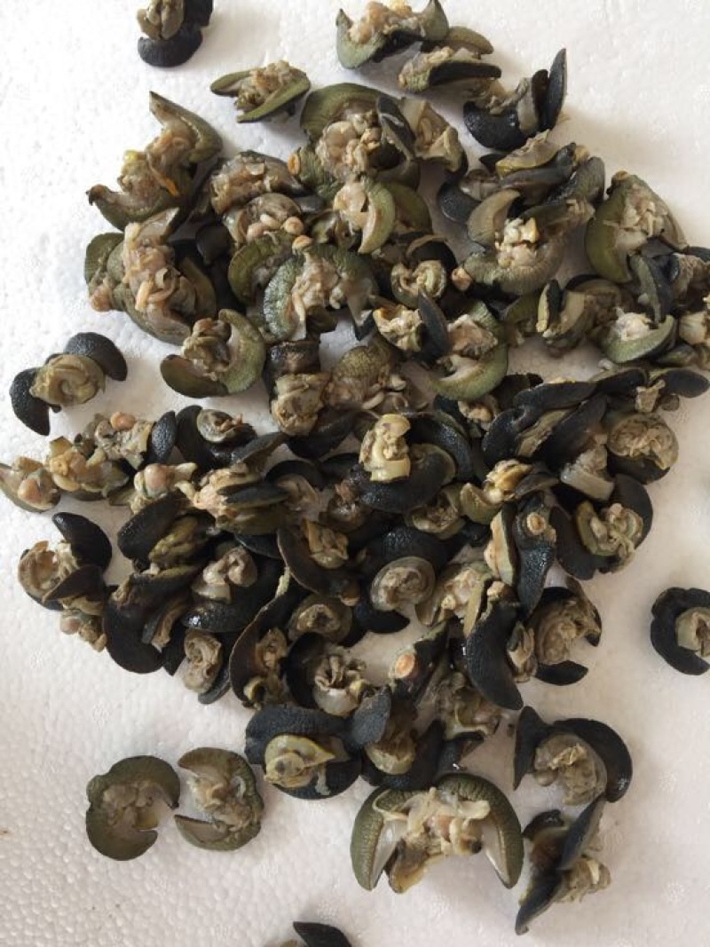 天然绿色褐云玛瑙黑蜗牛肉