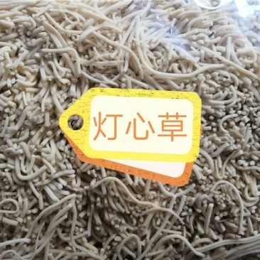 灯心草