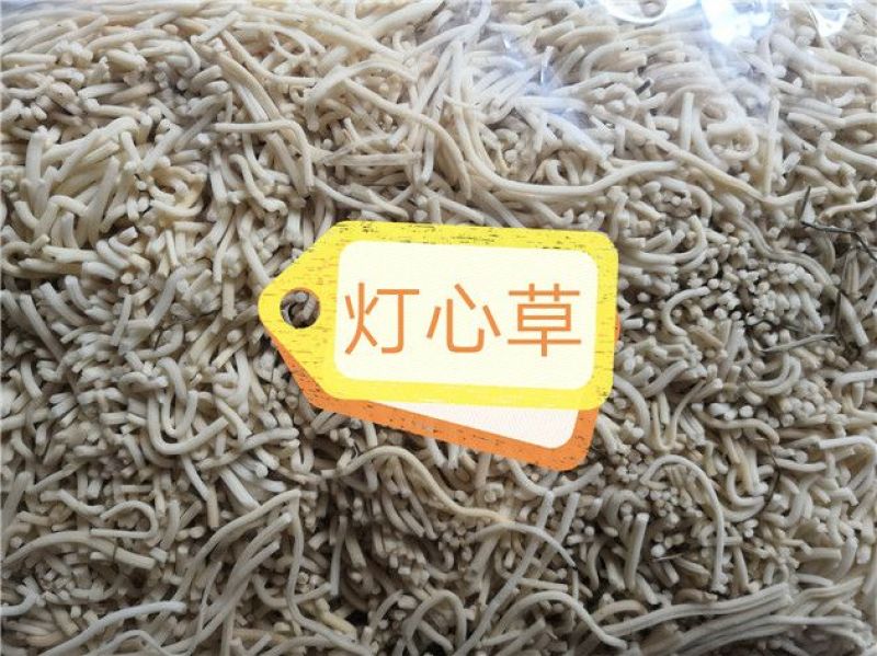 灯心草