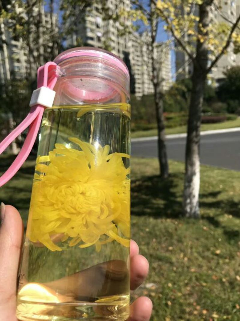 金丝皇菊花茶江西婺源金丝黄菊茶大货批发