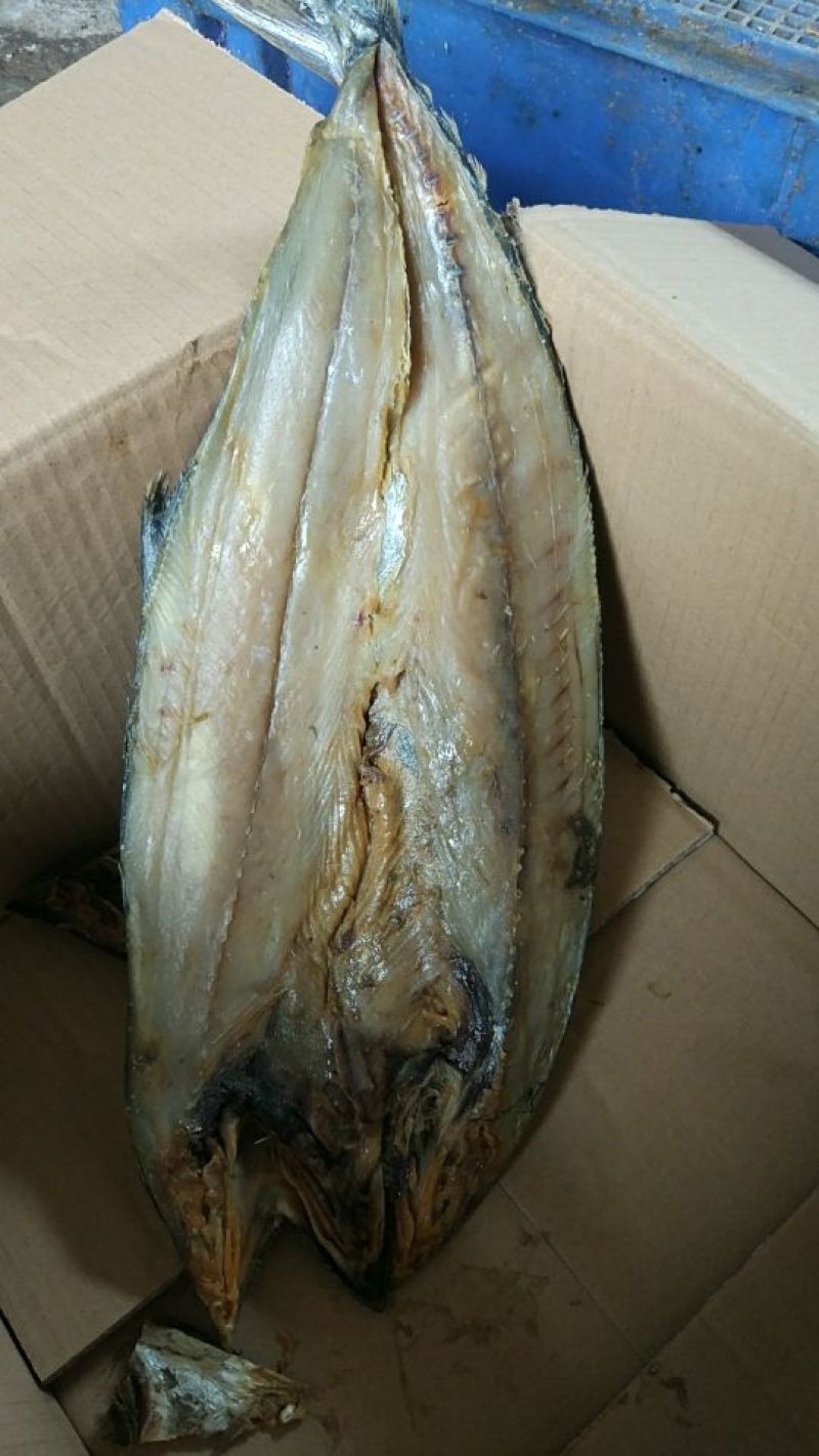 大块鲅鱼干