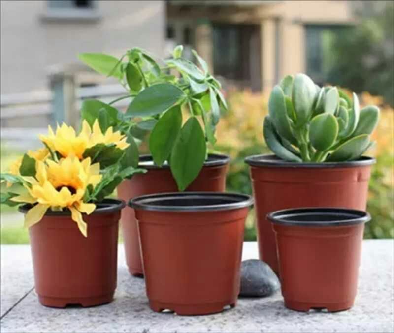 双色花盆,双色育苗花盆营养钵规格齐全,量大优惠摔不坏花盆