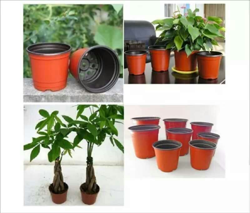双色花盆,双色育苗花盆营养钵规格齐全,量大优惠摔不坏花盆