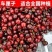 樱桃树苗车厘子美早红灯黑珍珠矮化樱桃苗南北方都可以种植