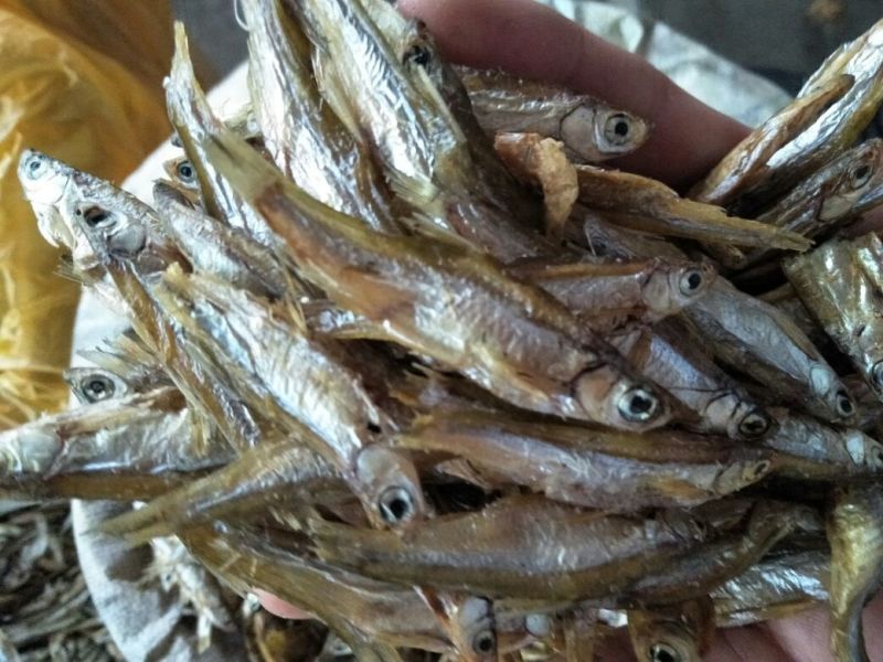 小鱼干无盐5-6cm