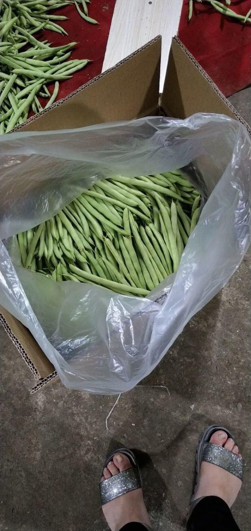 大白菜3～6斤