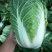 大白菜3～6斤