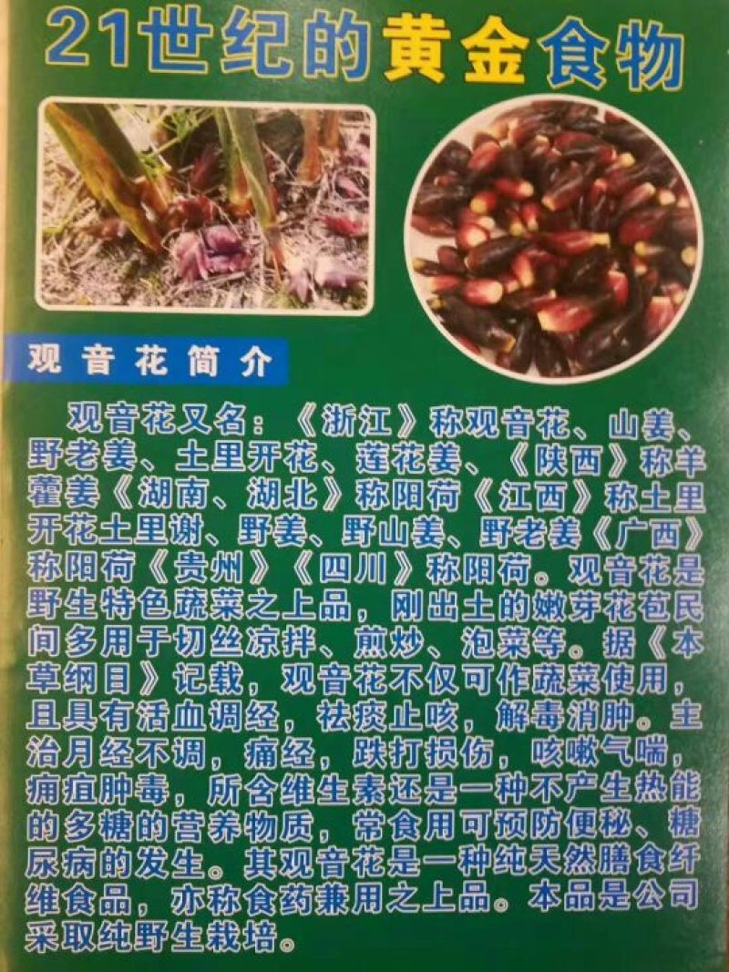 洋河