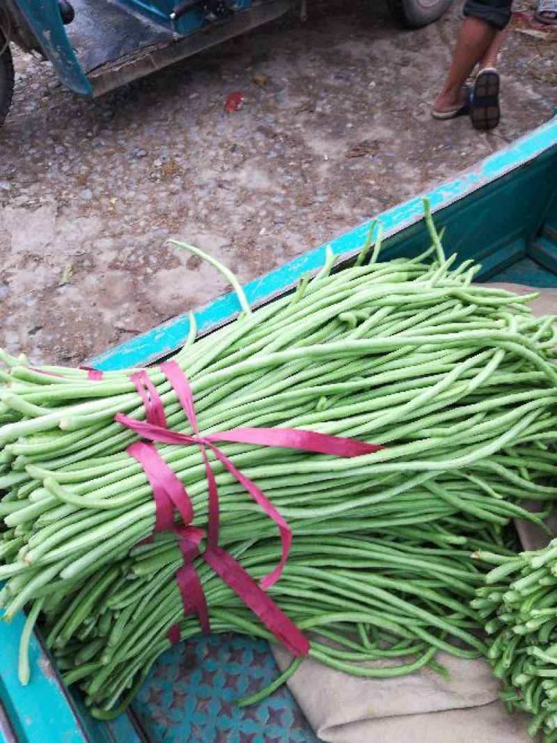 长豆角，大量上市
