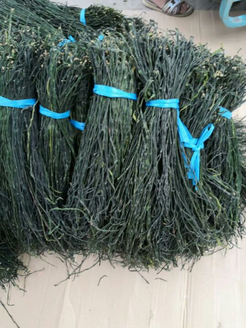 脱水长豆角，青条豆角，精品豆角，豆角干，干豇豆