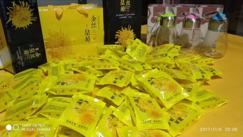 黄山贡菊金丝菊6-10公分