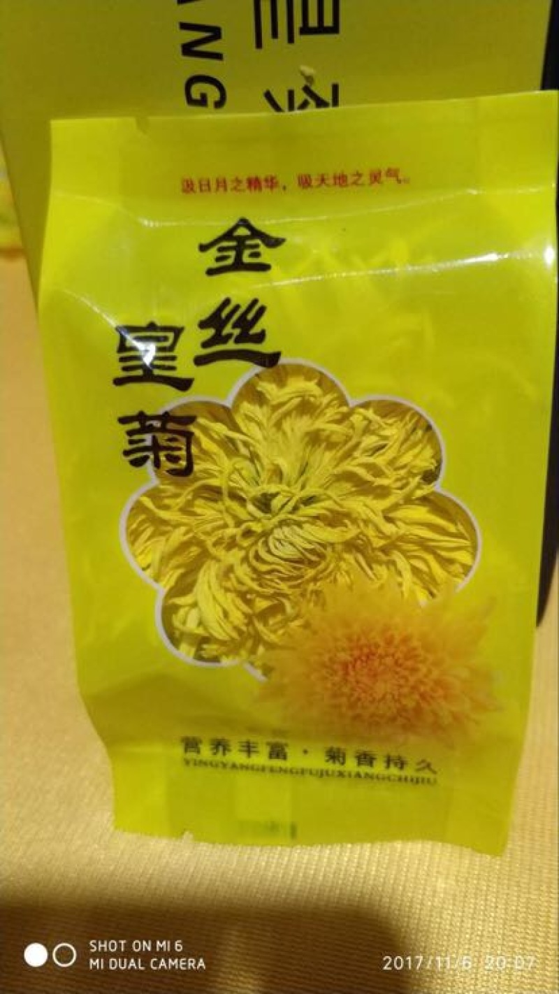 黄山贡菊金丝菊6-10公分