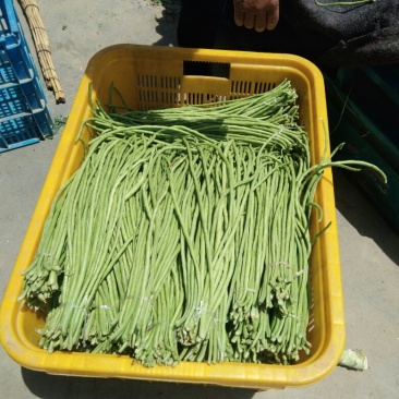 长豆角，货源充足