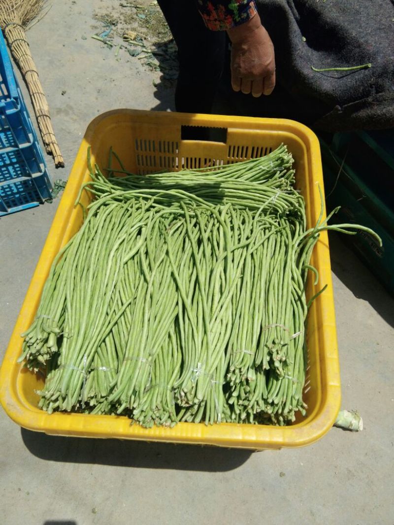 长豆角，货源充足