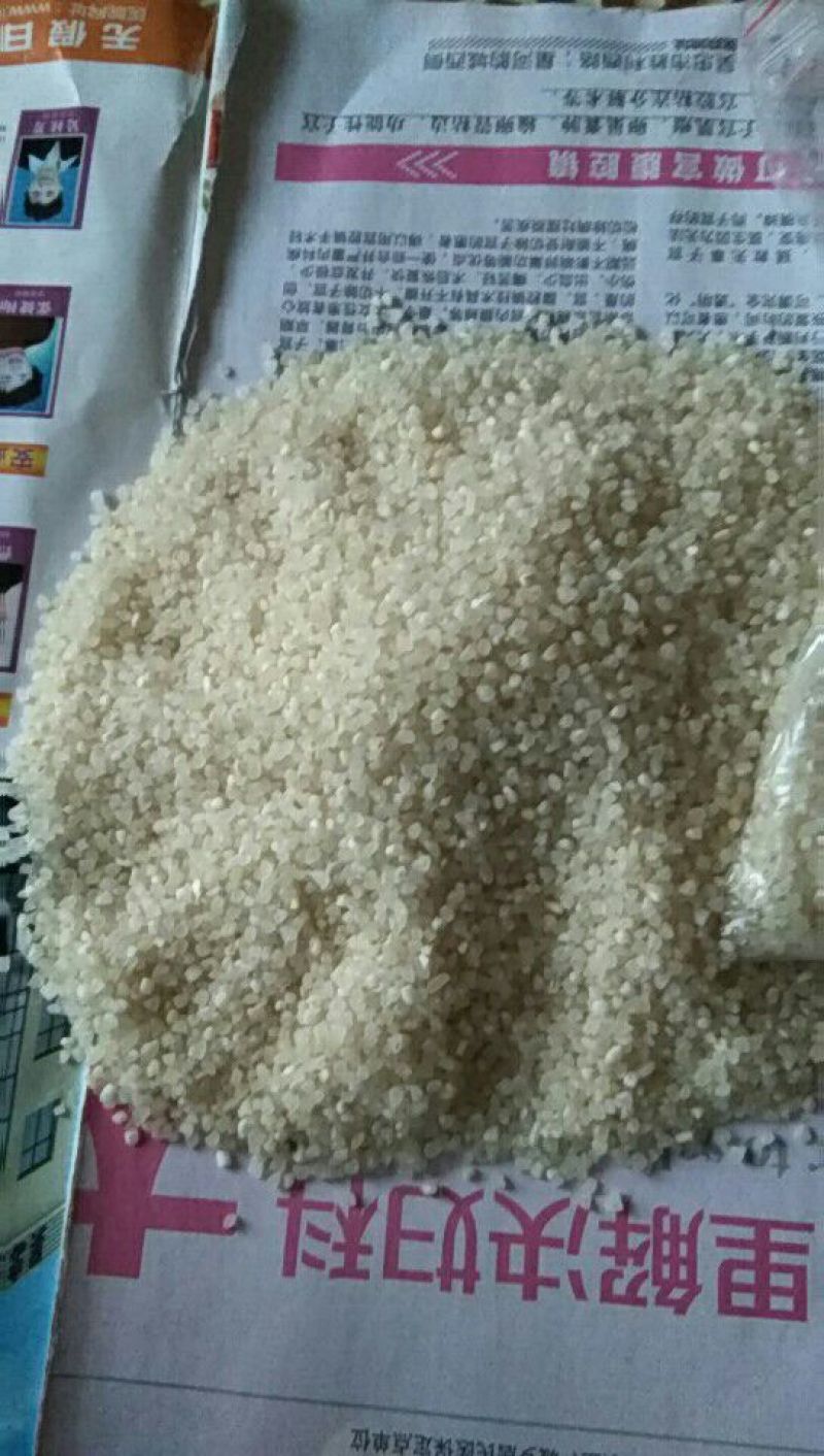 碎米，无杂质，色泽正常