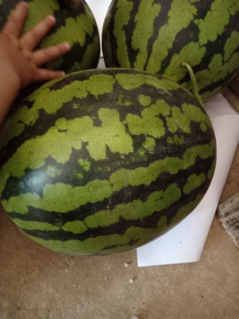 甜王