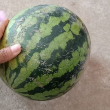 甜王