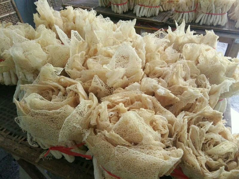 广西长裙竹荪鲜品包邮