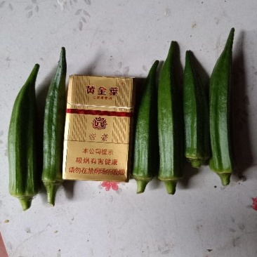 水果秋葵