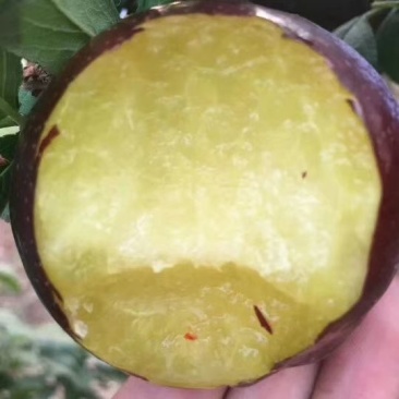 黑布林