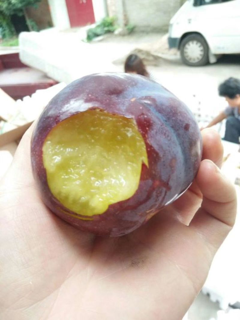 黑布林