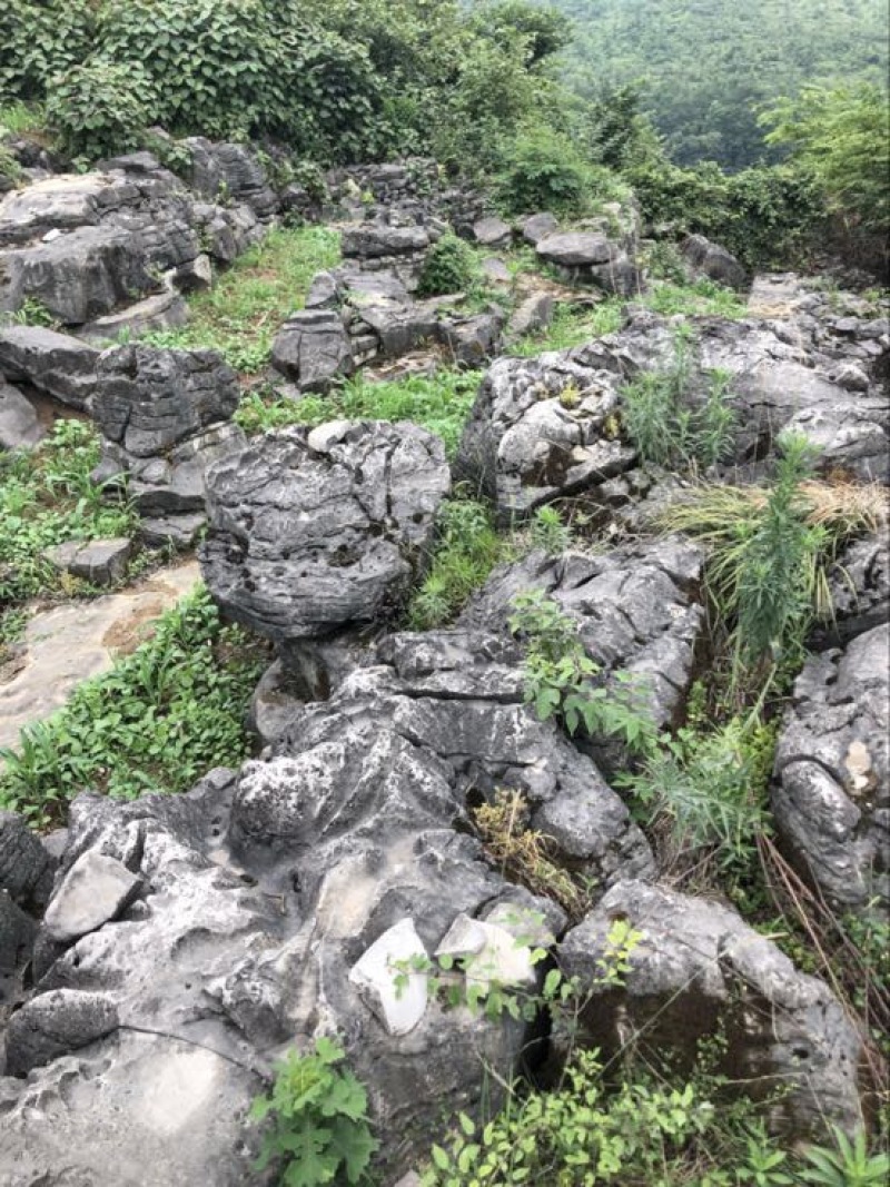 毛石