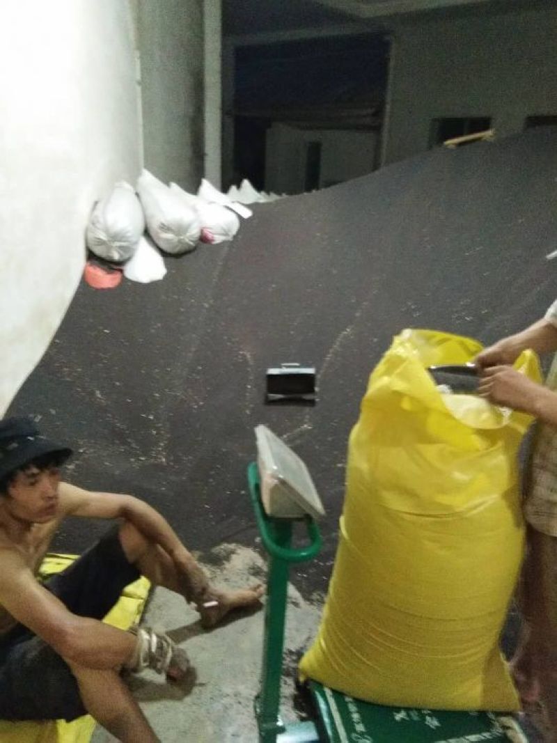 油菜籽