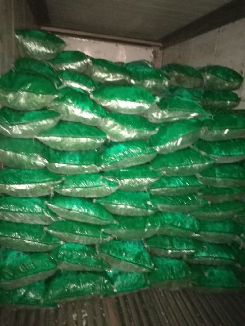 精品毛豆，翠绿宝早安货源充足质量有保障