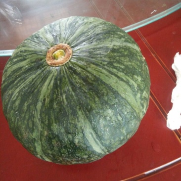南瓜