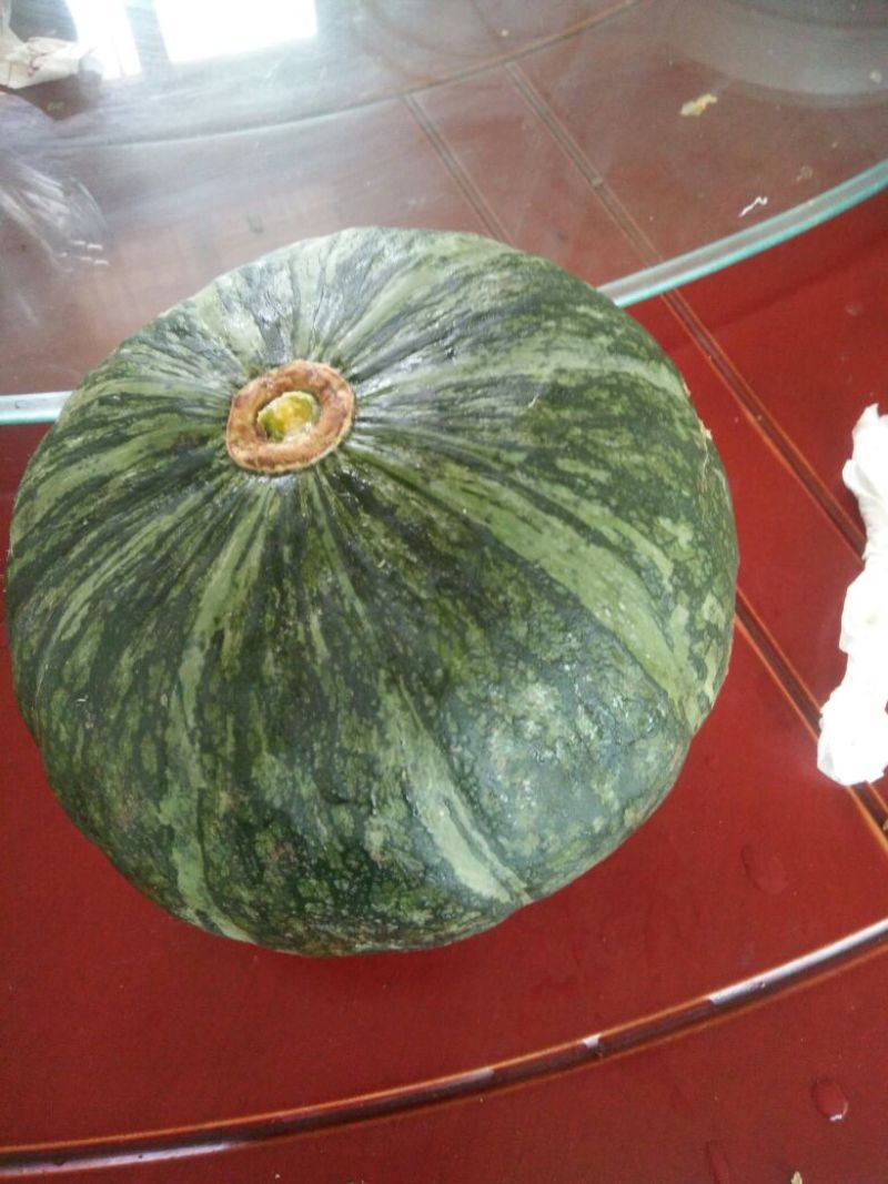 南瓜