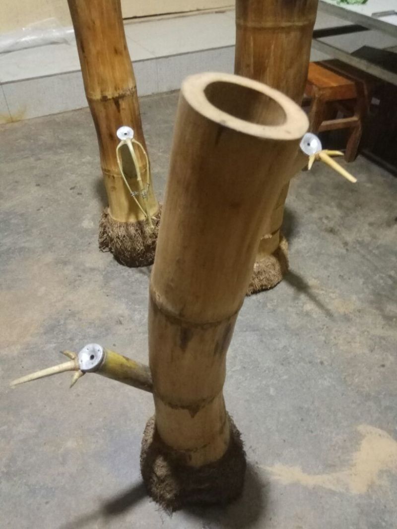 云南水烟筒竹根烟筒