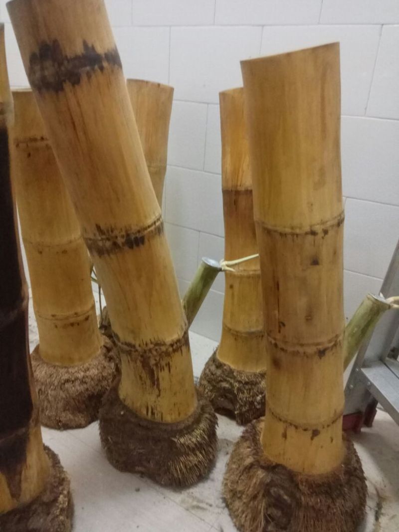 云南水烟筒竹根烟筒